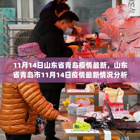 11月14日山东省青岛市疫情最新情况分析，防控与发展的平衡之道