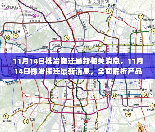 11月14日株冶搬迁全面解析，产品特性、用户体验及市场竞争力的最新消息