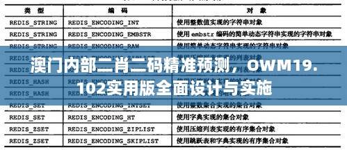 澳门内部二肖二码精准预测，OWM19.102实用版全面设计与实施