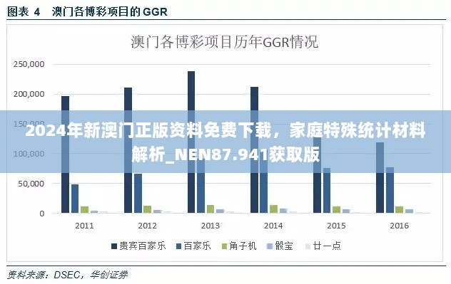 2024年新澳门正版资料免费下载，家庭特殊统计材料解析_NEN87.941获取版