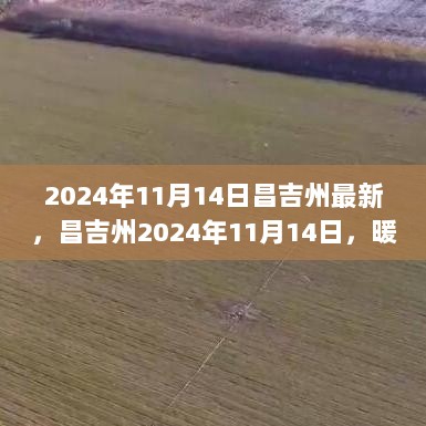 2024年11月14日昌吉州暖心日常，与友共度美好时光