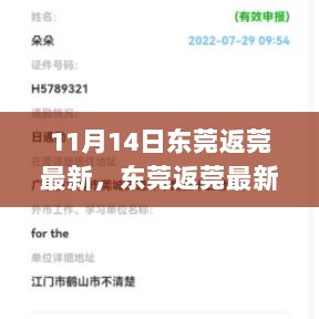 11月东莞返莞最新指南，轻松完成任务与技能学习