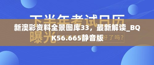 新澳彩资料全景图库33，最新解读_BQK56.665静音版