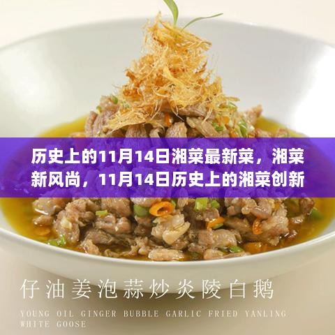 历史上的11月14日，湘菜新风尚与最新菜品制作全攻略