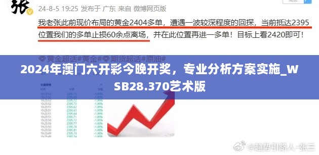 2024年澳门六开彩今晚开奖，专业分析方案实施_WSB28.370艺术版