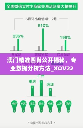 澳门精准四肖公开揭秘，专业数据分析方法_XOV22.888月光版