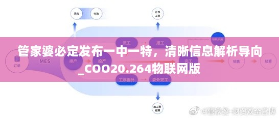 管家婆必定发布一中一特，清晰信息解析导向_COO20.264物联网版