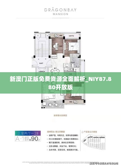 新澳门正版免费资源全面解析_NIY87.880开放版