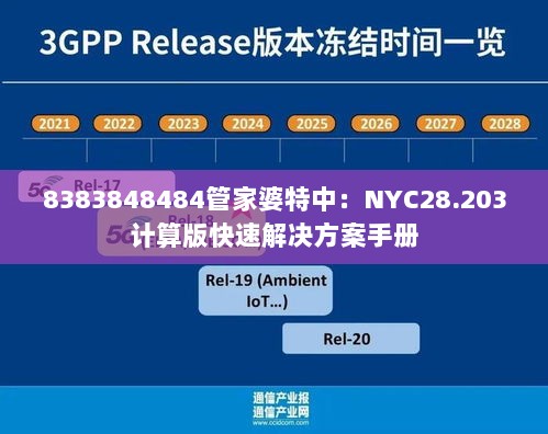 8383848484管家婆特中：NYC28.203计算版快速解决方案手册