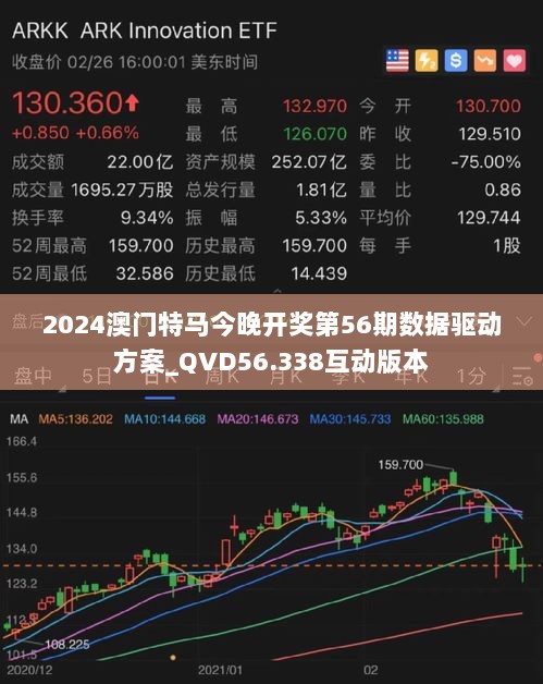 2024澳门特马今晚开奖第56期数据驱动方案_QVD56.338互动版本