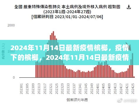 2024年11月14日疫情下的槟榔市场回顾与影响分析