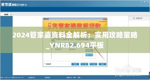 2024管家婆资料全解析：实用攻略策略_YNR82.694平板