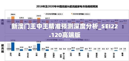 新澳门王中王精准预测深度分析_SEI22.120高端版