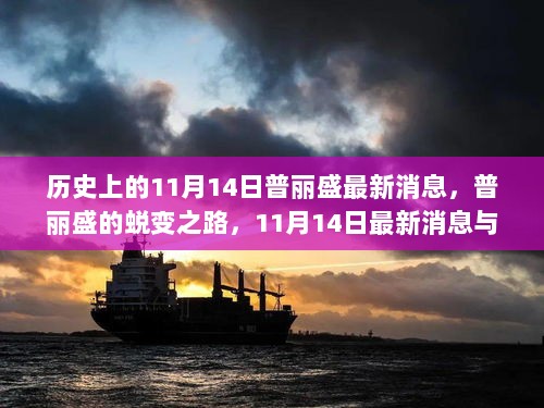 普丽盛的蜕变之路，11月14日最新消息与个人成长之旅的交织