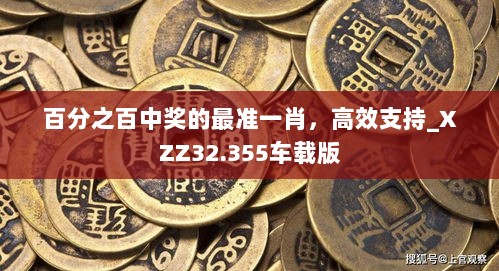 百分之百中奖的最准一肖，高效支持_XZZ32.355车载版