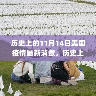 历史上的11月14日美国疫情深度解析与评测，最新数据解析