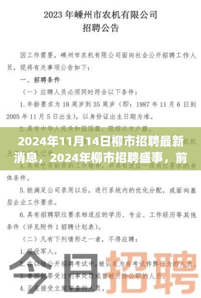 2024年柳市招聘盛事，前沿科技产品介绍与使用体验揭秘的最新消息