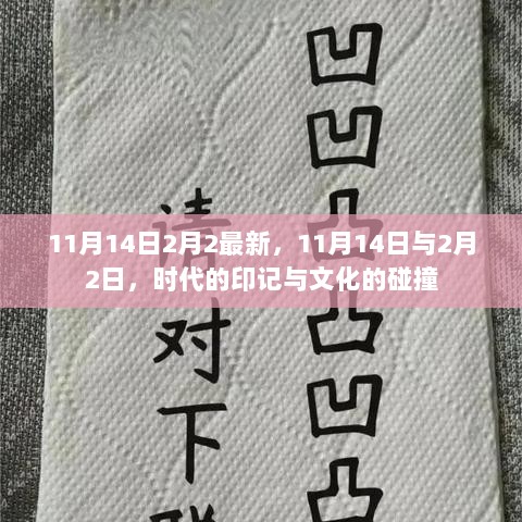 时代的印记与文化的碰撞，11月14日与2月2日的交汇点