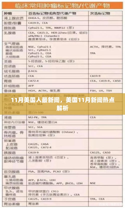 美国11月新闻热点解析