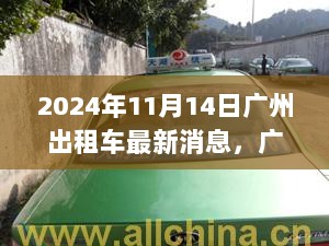 广州出租车行业新动向，2024年11月14日最新消息解析