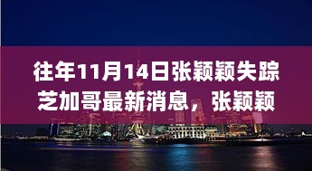 芝加哥迷雾，张颖颖失踪案的最新消息与真相探求