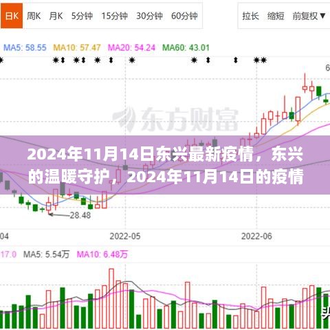 2024年11月14日东兴疫情日常，温暖守护下的抗疫行动