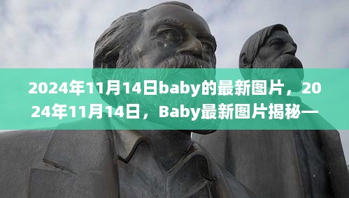 2024年11月14日Baby最新图片揭秘，时代偶像的辉煌与影响