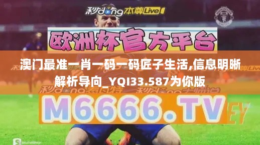 澳门最准一肖一码一码匠子生活,信息明晰解析导向_YQI33.587为你版