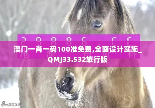 澳门一肖一码100准免费,全面设计实施_QMJ33.532旅行版