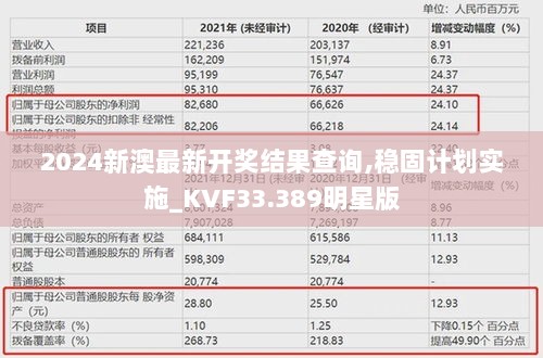 2024新澳最新开奖结果查询,稳固计划实施_KVF33.389明星版