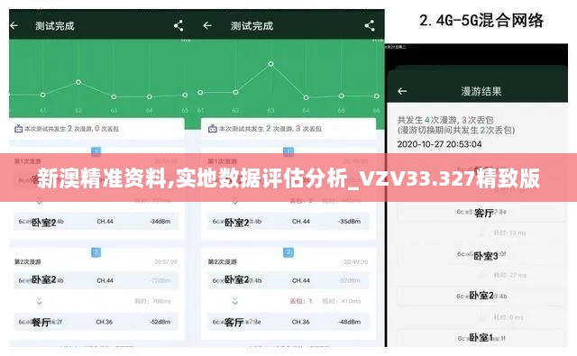 新澳精准资料,实地数据评估分析_VZV33.327精致版