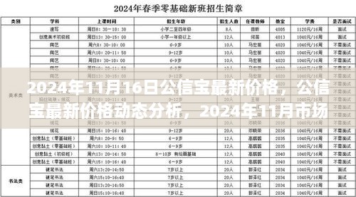 2024年11月公信宝最新价格动态分析，市场回顾与展望