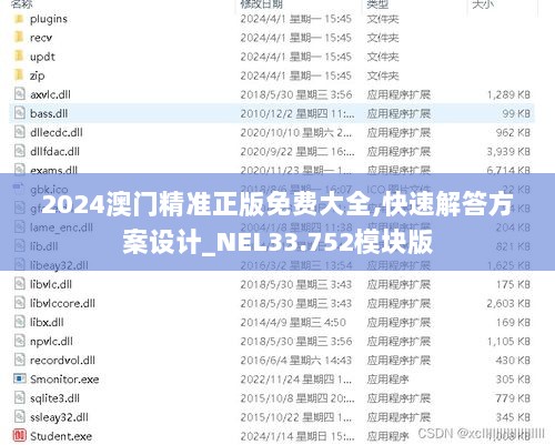 2024澳门精准正版免费大全,快速解答方案设计_NEL33.752模块版