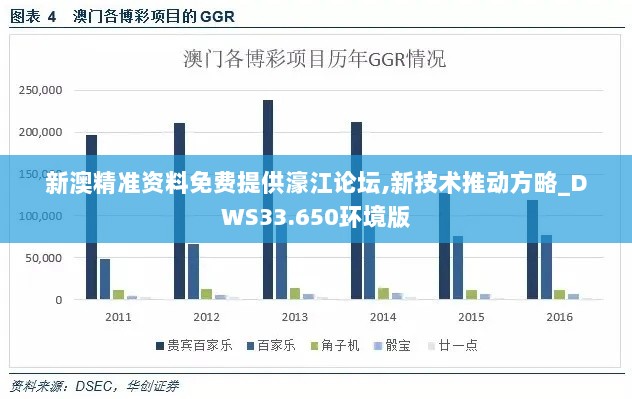 新澳精准资料免费提供濠江论坛,新技术推动方略_DWS33.650环境版