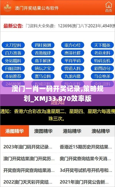 澳门一肖一码开奖记录,策略规划_XMJ33.870效率版