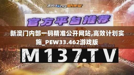 新澳门内部一码精准公开网站,高效计划实施_PEW33.462游戏版