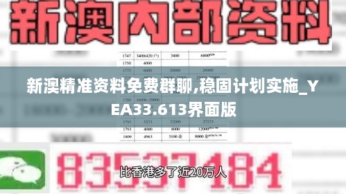 新澳精准资料免费群聊,稳固计划实施_YEA33.613界面版