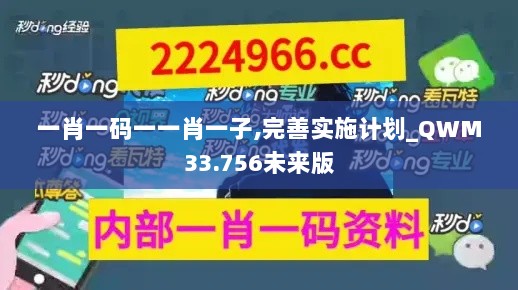 一肖一码一一肖一子,完善实施计划_QWM33.756未来版