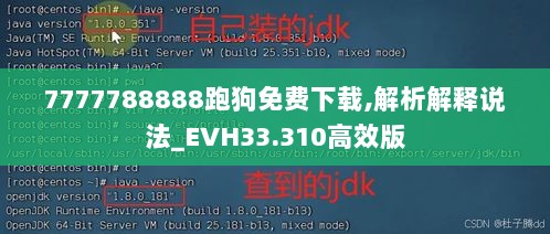 7777788888跑狗免费下载,解析解释说法_EVH33.310高效版