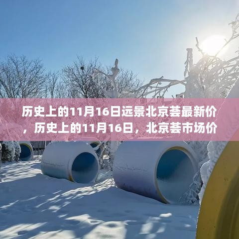 历史上的11月16日，北京荟市场价格回顾与展望展望未来市场动态