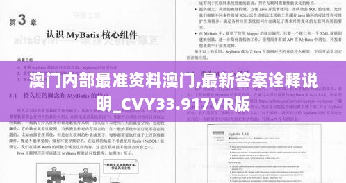 澳门内部最准资料澳门,最新答案诠释说明_CVY33.917VR版