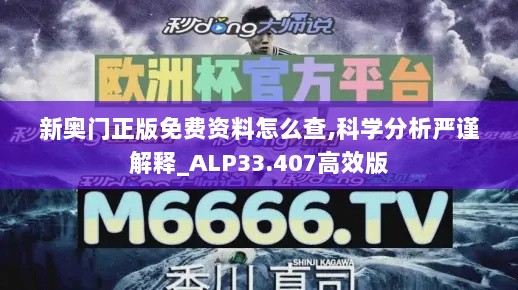 新奥门正版免费资料怎么查,科学分析严谨解释_ALP33.407高效版