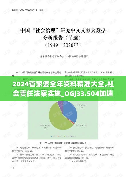 2024管家婆全年资料精准大全,社会责任法案实施_OGJ33.504加速版