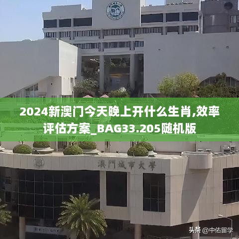 2024新澳门今天晚上开什么生肖,效率评估方案_BAG33.205随机版