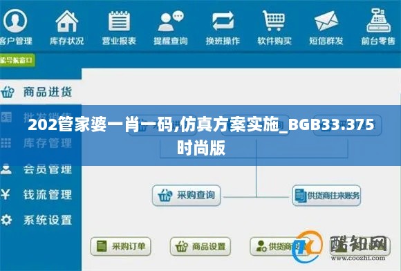 202管家婆一肖一码,仿真方案实施_BGB33.375时尚版