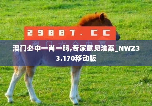 澳门必中一肖一码,专家意见法案_NWZ33.170移动版