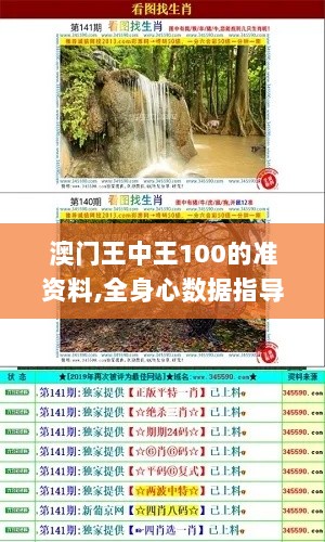 澳门王中王100的准资料,全身心数据指导枕_TMA33.688云端共享版