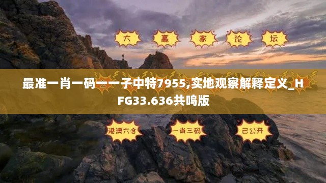 最准一肖一码一一子中特7955,实地观察解释定义_HFG33.636共鸣版