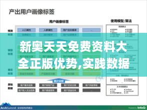 新奥天天免费资料大全正版优势,实践数据分析评估_FXL33.950限量版