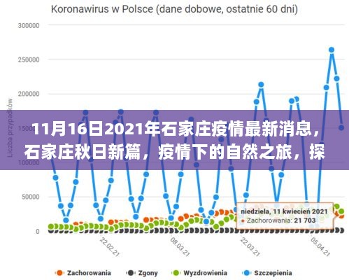 2021年11月16日石家庄疫情最新消息，秋日新篇下的自然之旅与探索心灵平静的秘密